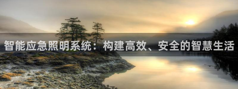 智能应急照明系统:构建高效、安全的智慧生活
