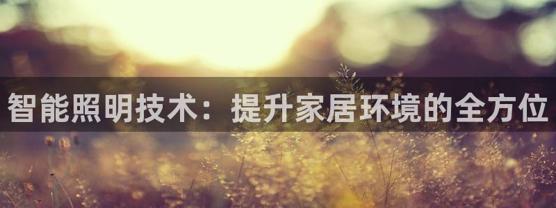 智能照明技术：提升家居环境的全方位