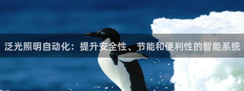 泛光照明自动化：提升安全性、节能和便利性的智能系统