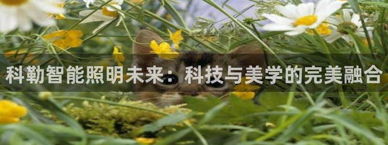 科勒智能照明未来：科技与美学的完美融合