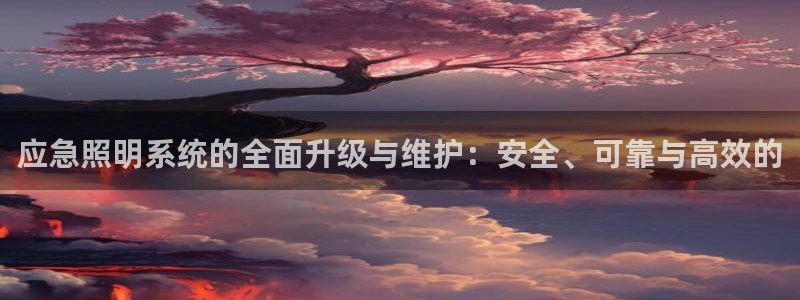 应急照明系统的全面升级与维护:安全、可靠与高效的