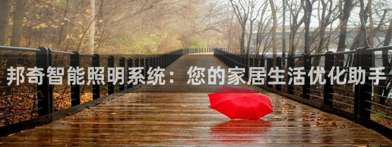 邦奇智能照明系统：您的家居生活优化助手