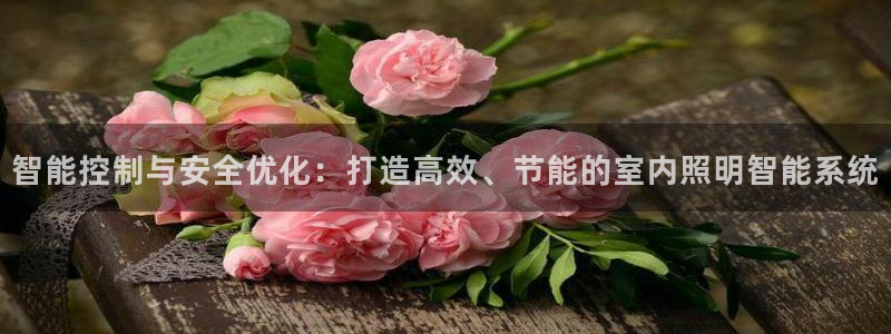 智能控制与安全优化:打造高效、节能的室内照明智能系统