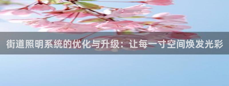 街道照明系统的优化与升级：让每一寸空间焕发光彩