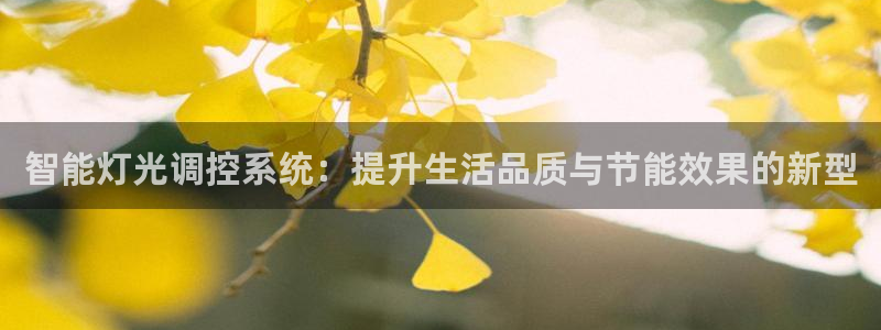 智能灯光调控系统：提升生活品质与节能效果