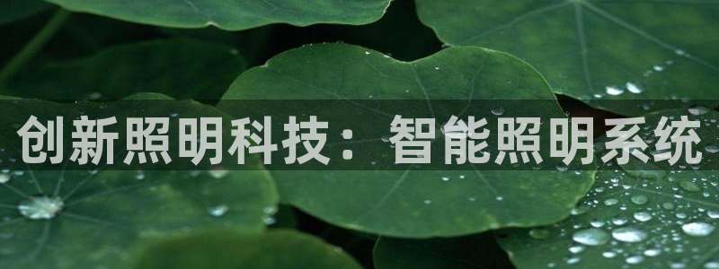 创新照明科技：智能照明系统