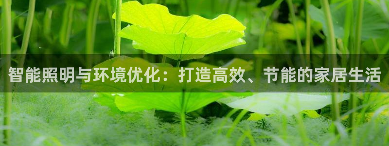 智能照明与环境优化:打造高效、节能的家居生活