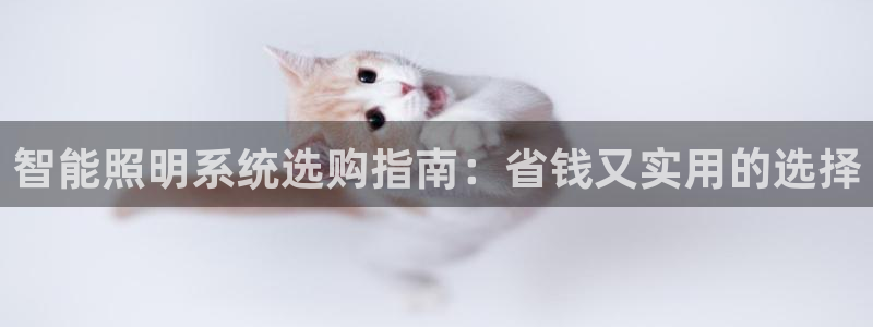 智能照明系统选购指南：省钱又实用的选择