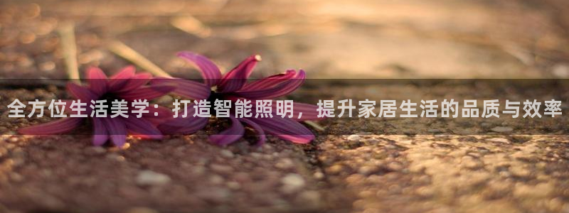 全方位生活美学：打造智能照明，提升家居生活的品质与效率
