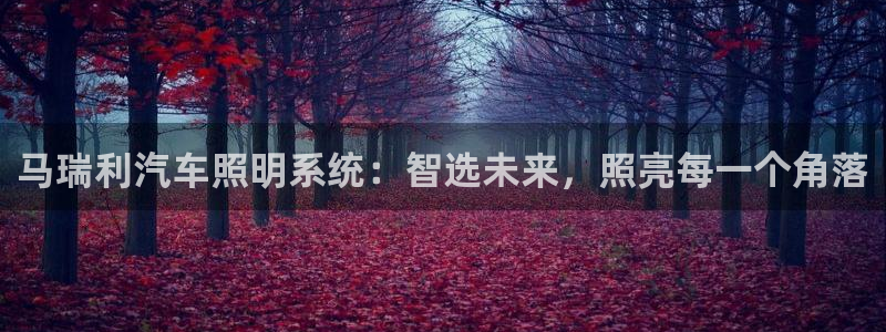 马瑞利汽车照明系统：智选未来，照亮每一个角落