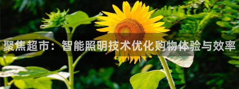 聚焦超市：智能照明技术优化购物体验与效率