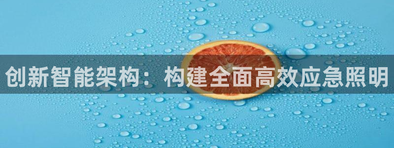 创新智能架构:构建全面高效应急照明