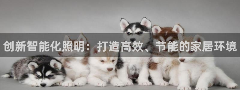 创新智能化照明：打造高效、节能的家居环境