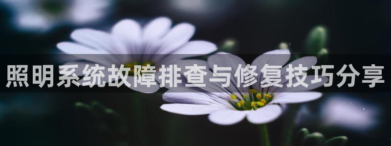 照明系统故障排查与修复技巧分享