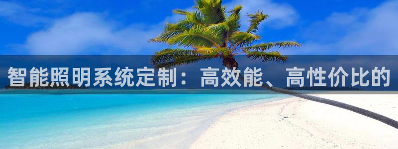 智能照明系统定制：高效能、高性价比的