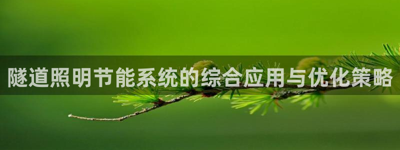 隧道照明节能系统的综合应用与优化策略