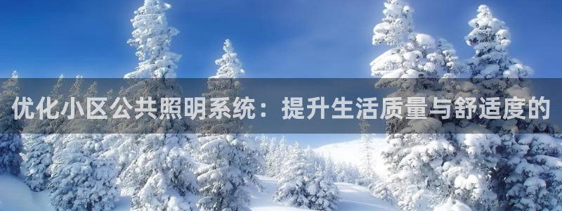 优化小区公共照明系统：提升生活质量与舒适度的