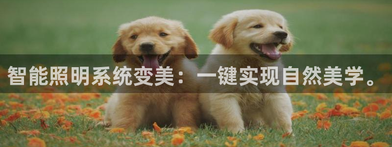 智能照明系统变美：一键实现自然美学。