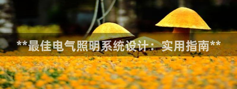 **最佳电气照明系统设计：实用指南**