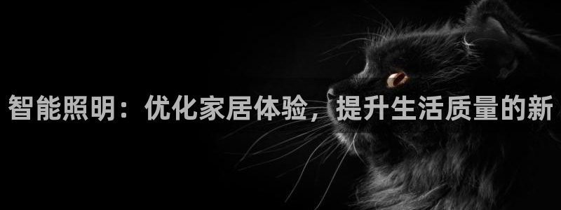 智能照明：优化家居体验，提升生活质量的新