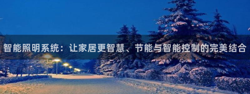 智能照明系统：让家居更智慧、节能与智能控制的完美结合