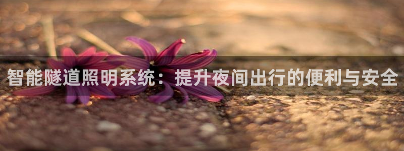 智能隧道照明系统：提升夜间出行的便利与安全