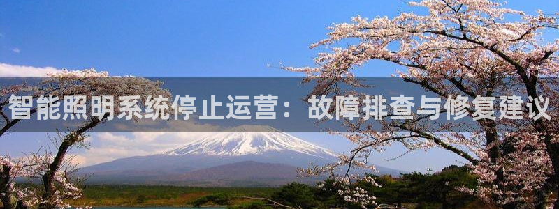 智能照明系统停止运营：故障排查与修复建议