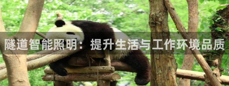 隧道智能照明：提升生活与工作环境品质