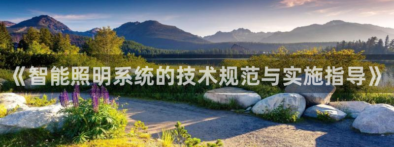 《智能照明系统的技术规范与实施指导》