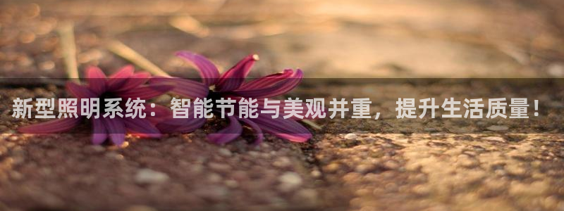 新型照明系统：智能节能与美观并重，提升生活质量！