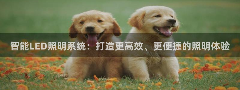 智能LED照明系统：打造更高效、更便捷的照明体验