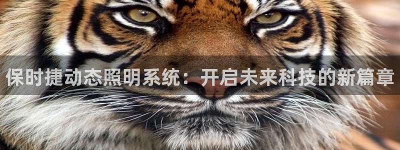 保时捷动态照明系统：开启未来科技的新篇章