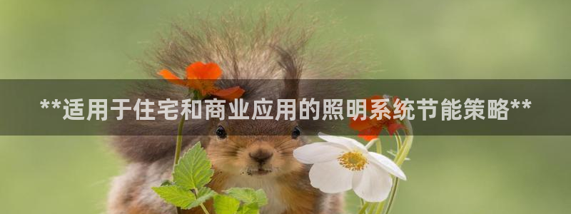 **适用于住宅和商业应用的照明系统节能策略**