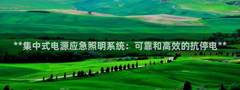 **集中式电源应急照明系统：可靠和高效的抗停电**