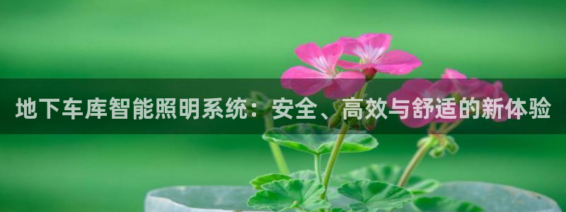 地下车库智能照明系统：安全、高效与舒适的新体验
