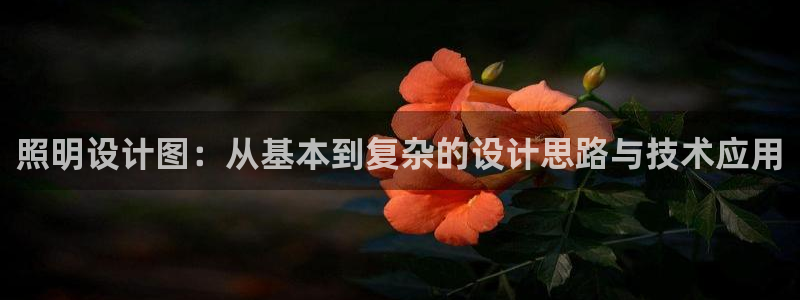 照明设计图：从基本到复杂的设计思路与技术应用