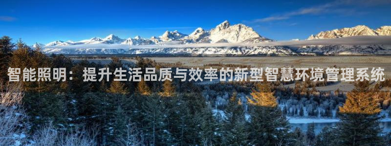 智能照明：提升生活品质与效率的新型智慧环