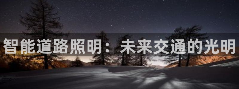 智能道路照明：未来交通的光明