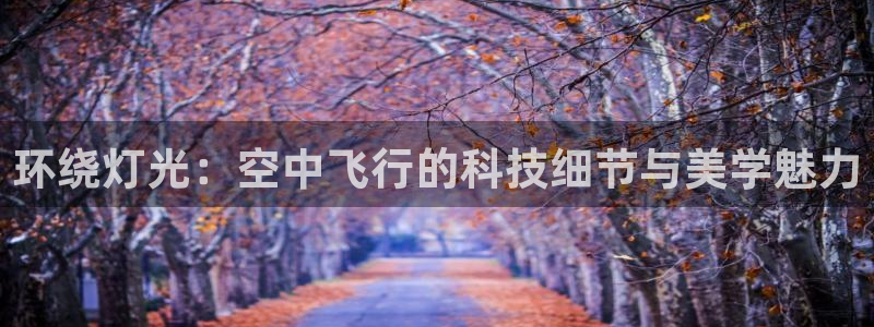 环绕灯光：空中飞行的科技细节与美学魅力