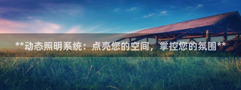 **动态照明系统：点亮您的空间，掌控您的