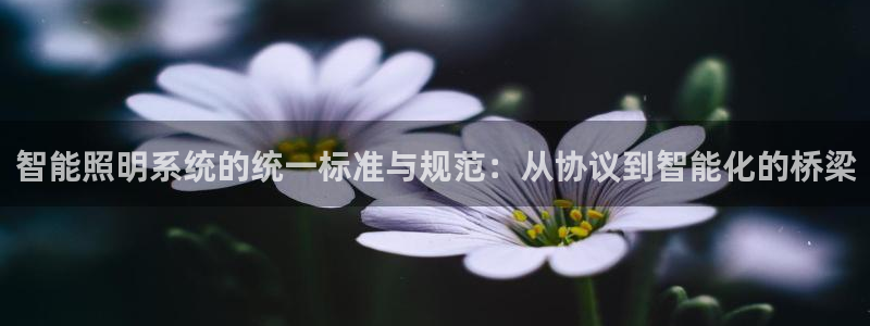 智能照明系统的统一标准与规范：从协议到智能化的桥梁