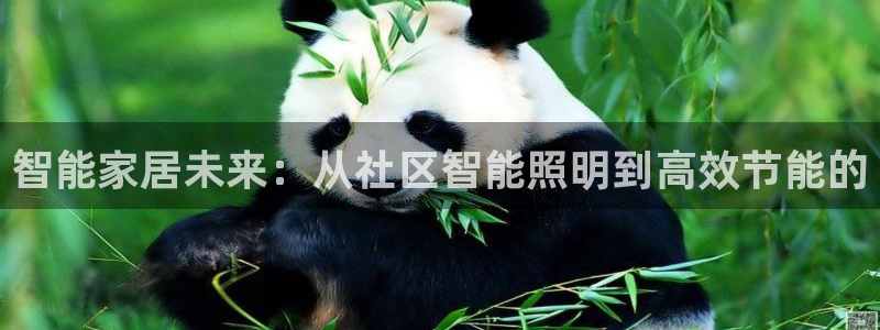 智能家居未来：从社区智能照明到高效节能的