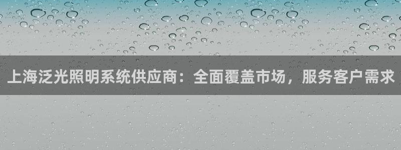 上海泛光照明系统供应商：全面覆盖市场，服务客户需求