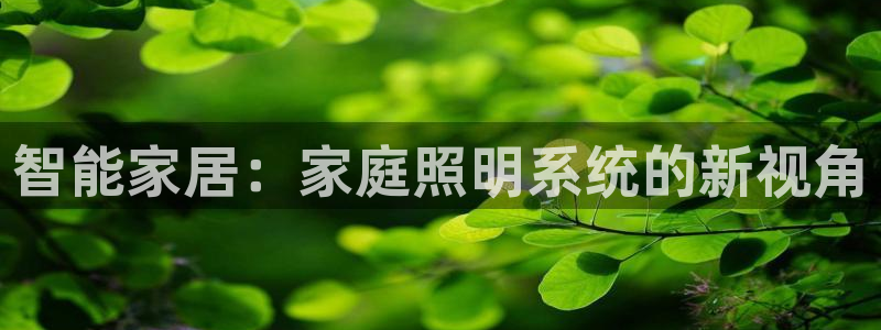 智能家居：家庭照明系统的新视角